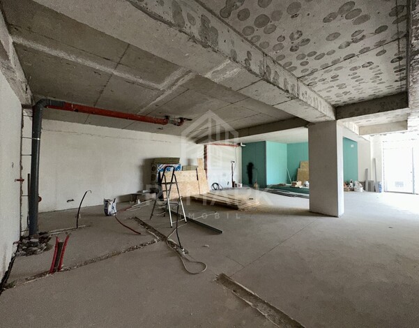 photo239793