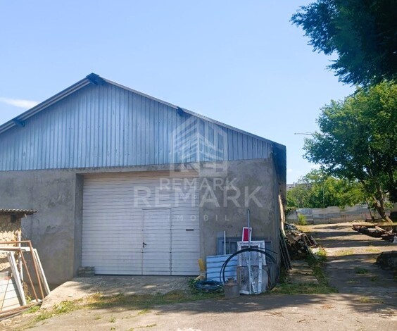 photo242698