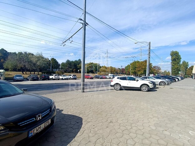 photo245558