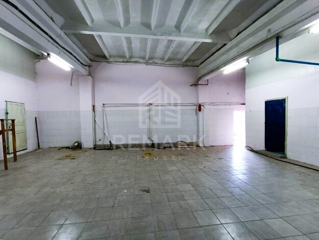 photo245675