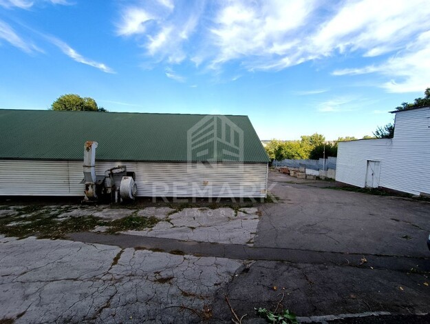 photo245703