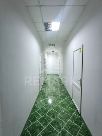 photo246039