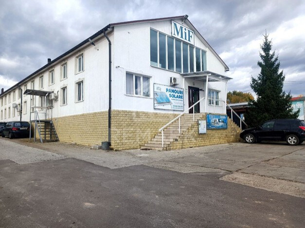 photo247539