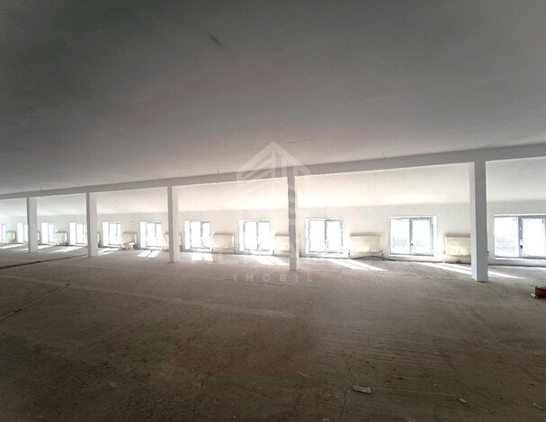 photo247545