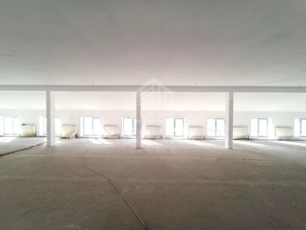 photo247544