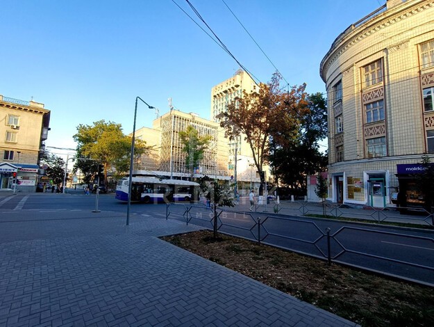photo247682