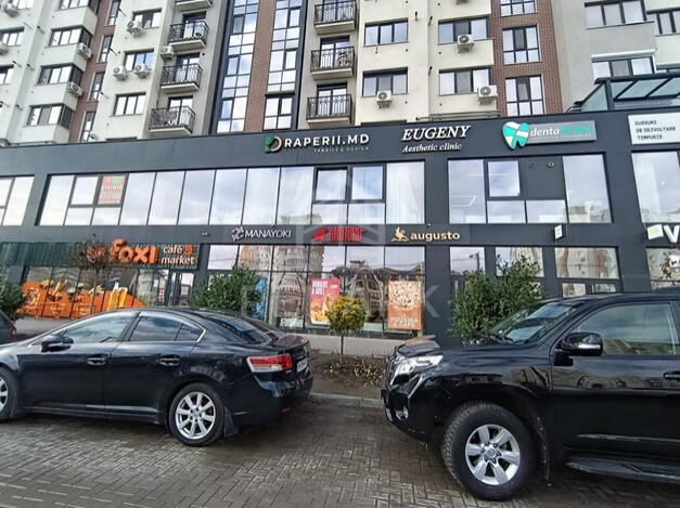 photo249563