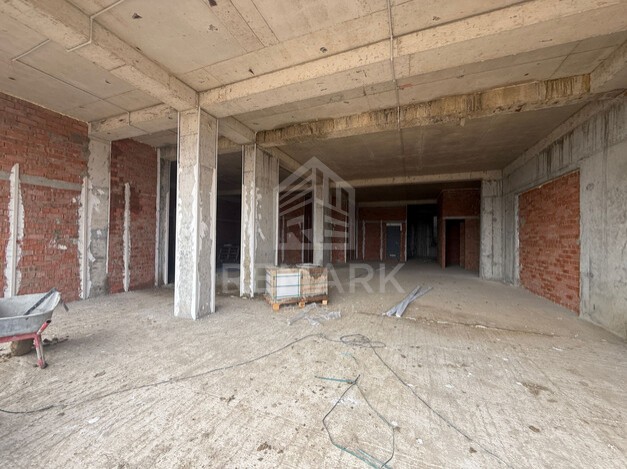 photo249739
