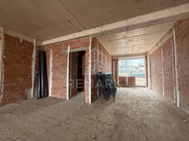 photo249741