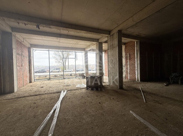 photo249806
