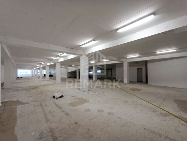 photo253009