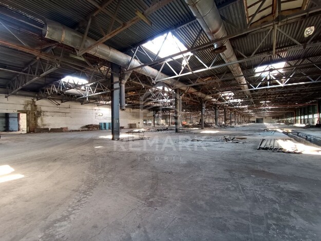 photo254766