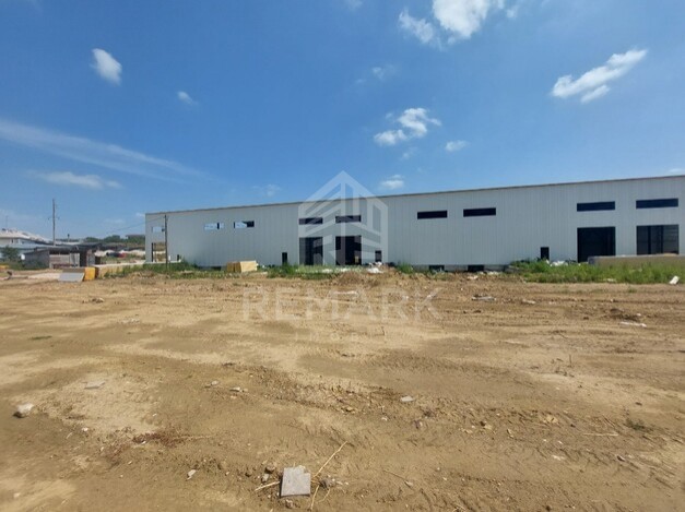 photo256981