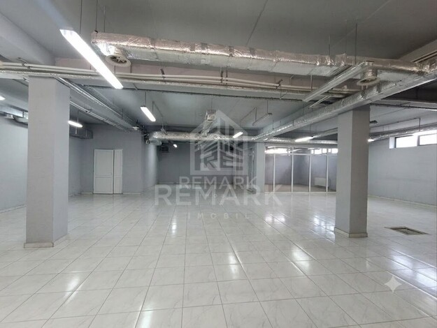 photo257562