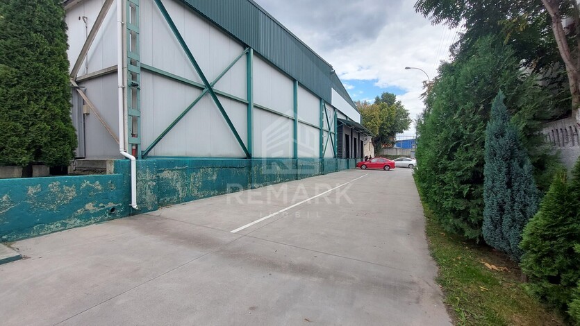 photo258643