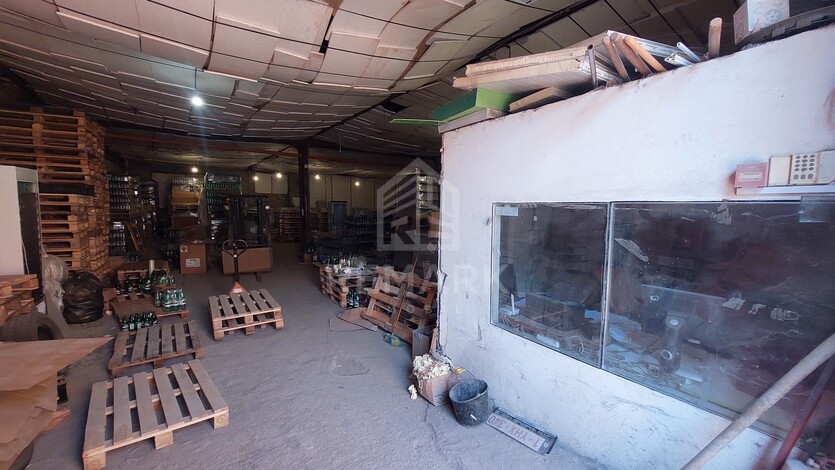 photo258766