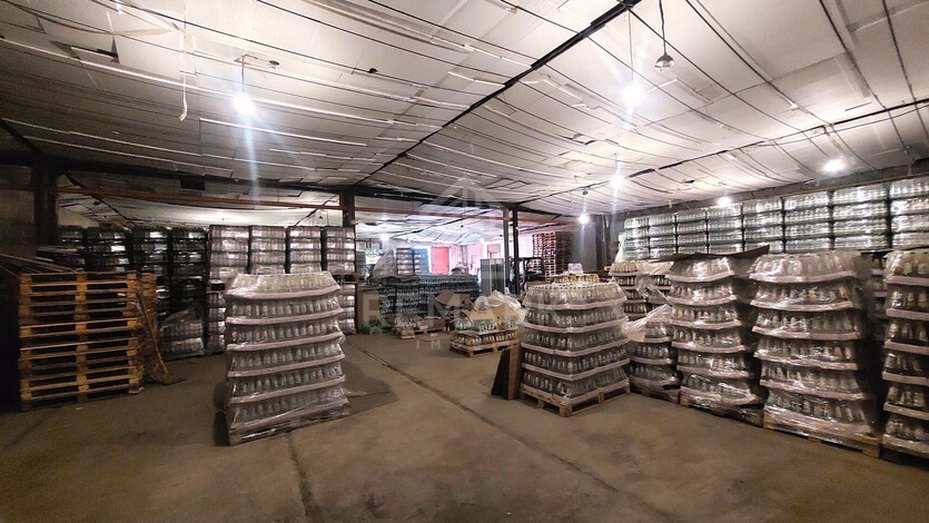 photo258767