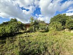 photo_low241735