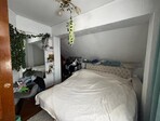 photo_low244046