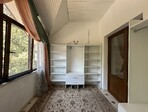 photo_low244138