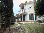photo_low252977