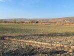 photo_low181276