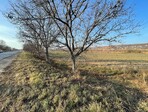 photo_low181278