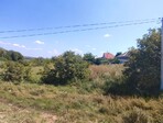 photo_low242061