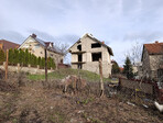 photo_low249372