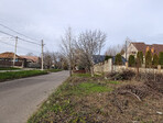 photo_low249373