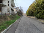 photo_low249375