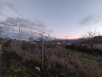 photo_low250585