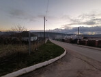 photo_low250586