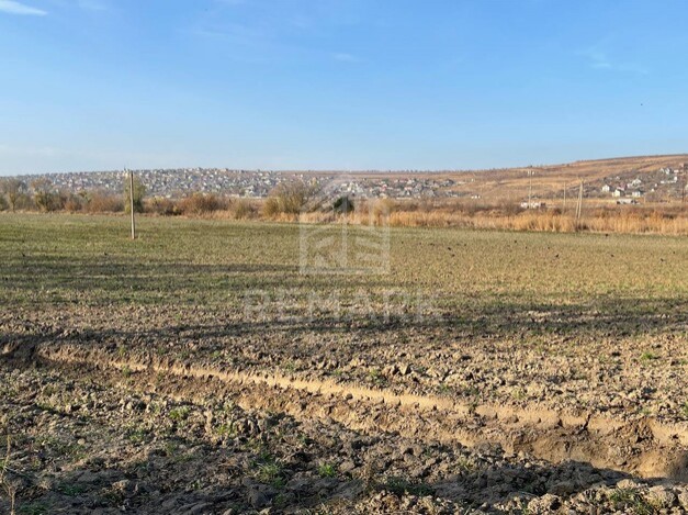 photo181276