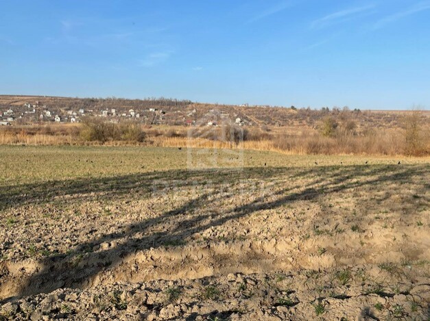photo181275