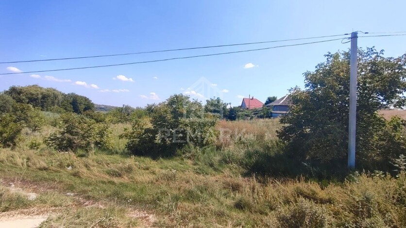 photo242061