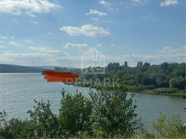 photo243360