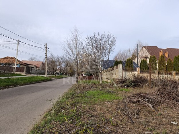 photo249373