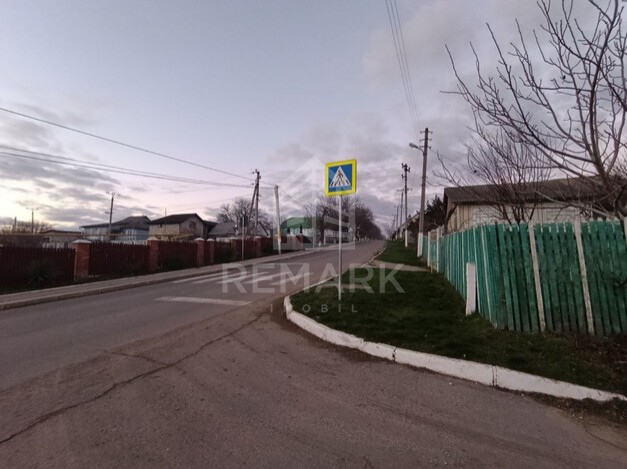 photo250587