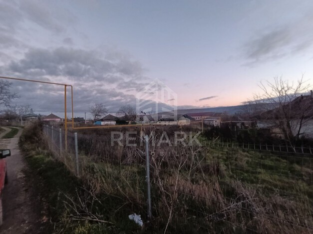 photo250588