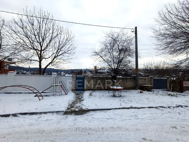 photo251542